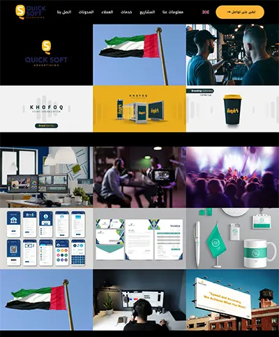 Website developed for Quicksoftadv